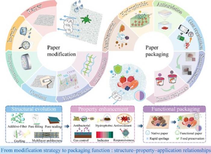 Paper-Based Smart Packaging Offers Sustainable Path to Cut Food Waste and Plastic Pollution