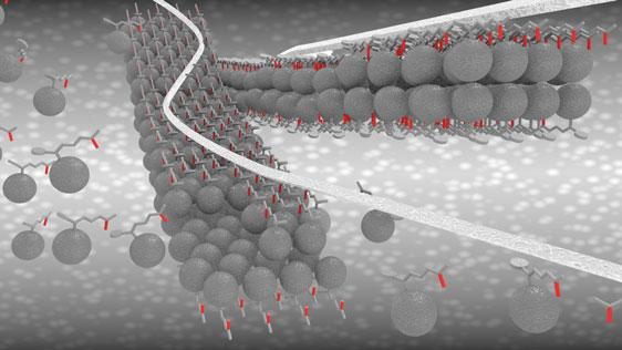 Nanoribbons, Ume&aring; University