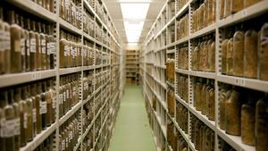 Sample archive