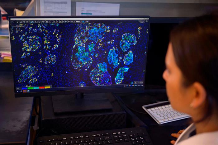 MSK Researcher