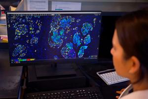 MSK Researcher