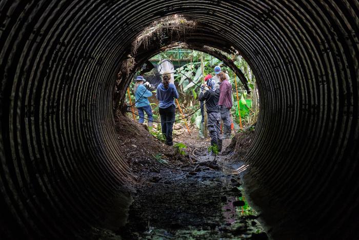Tunnel in Gamboa