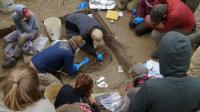 Excavation Site