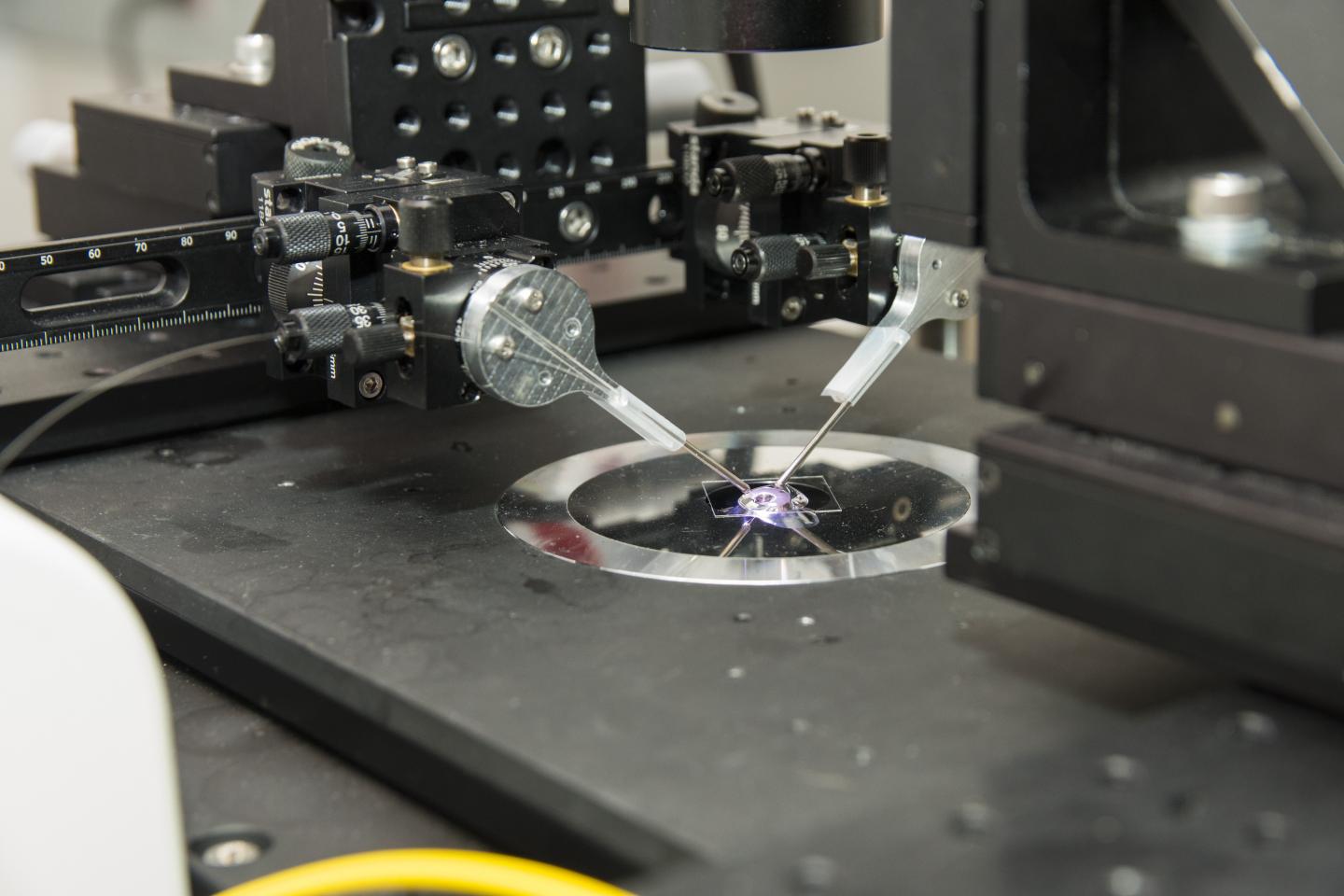 WPI Fiber Optical Tweezers Close-Up