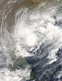 Terra Image of Roanu