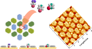 Schematic of proposed thiol molecule isolation model