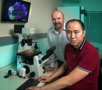 Joseph Ecker and Chongyuan Luo