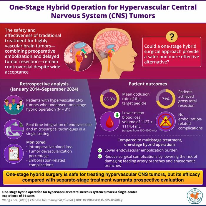 One-Stage Hybrid Surgery for Hypervascular CNS Tumors