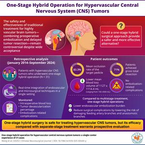 One-Stage Hybrid Surgery for Hypervascular CNS Tumors