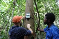 Mounting a Bioacoustics Data Recorder