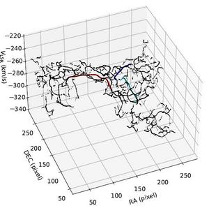 The complex filamentary network in G165 cloud