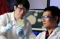Jiaqi Tan and Lin Jiang, Georgia Institute of Technology (1 of 2)