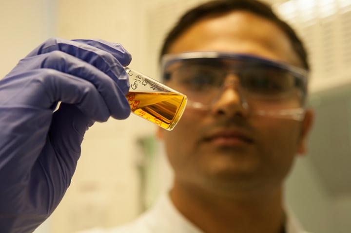 Stem Cell Factories
