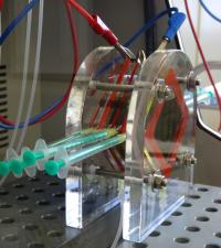 Microbial Fuel Cell