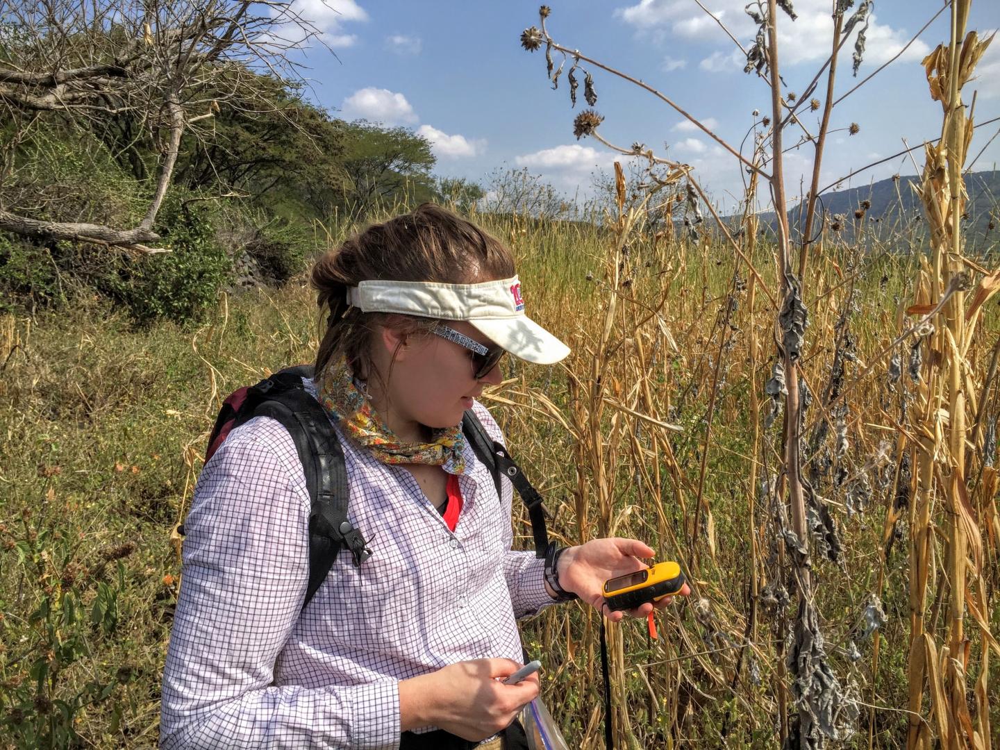 Tracking Down the Jumping Genes of Maize