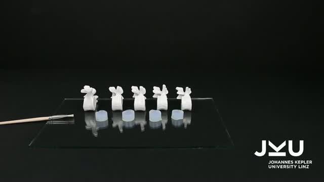 Faster than Ever? Hydrogels Bond to Soft and Hard Surfaces (16 of 19)