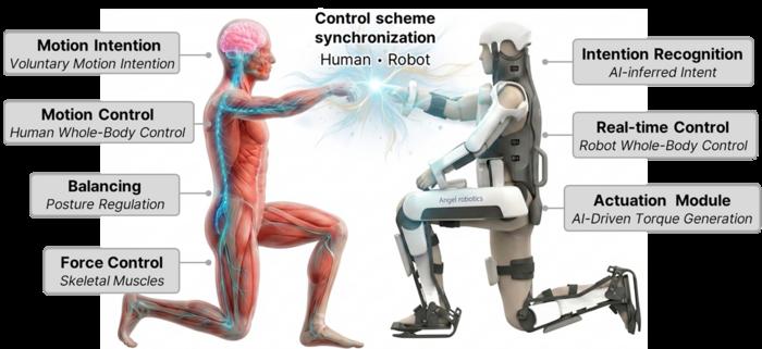 KAIST Begins Developing the World’s First Brain-to-Robot Technology, Moving Robots by Thought and Sending Sensation Back to the Brain