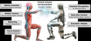 KAIST Begins Developing the World’s First Brain-to-Robot Technology, Moving Robots by Thought and Sending Sensation Back to the Brain