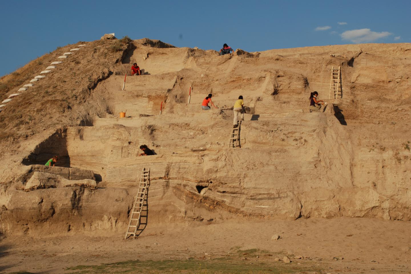 Urine Salts Provide Evidence of Early Neolithic Animal Management (1 of 9)