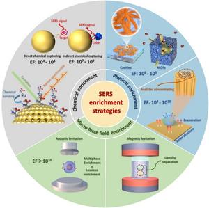 Overview of SERS
