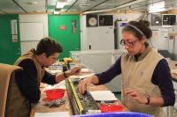 Sediment Sample Studied