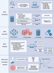 ImmunoCheckDB flowchart