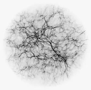 Computer simulation