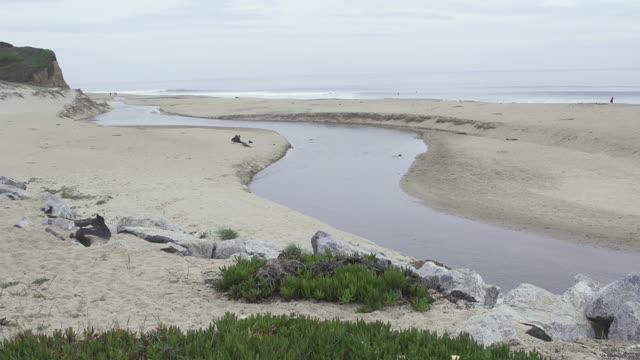 Stream Restoration in Central California