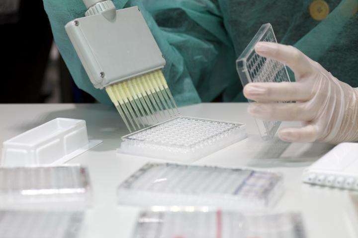 Multipipette for Assays