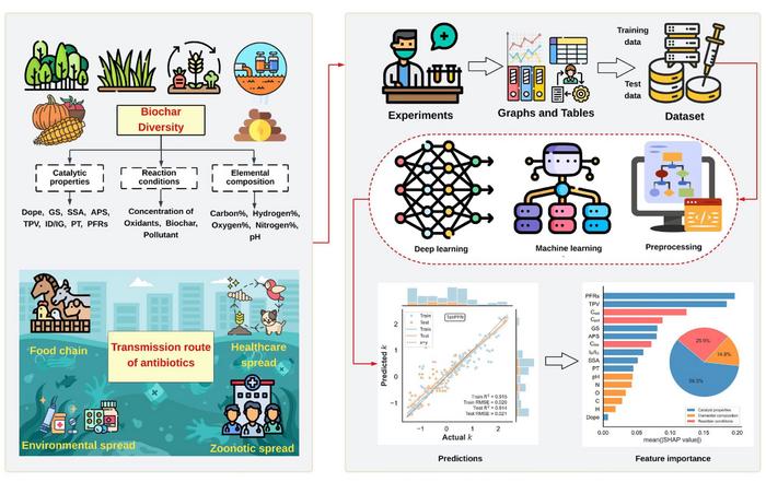 Deep learning-aided prediction and mechanistic analysis of reaction kinetics in biochar-catalyzed antibiotic degradation