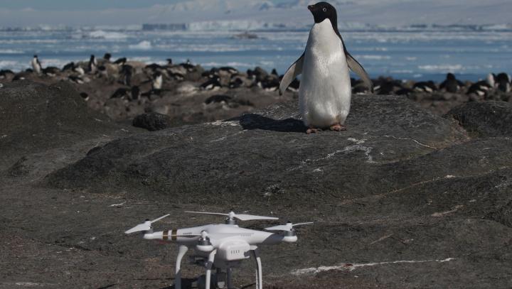 Quadcopter Drone