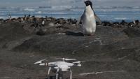Quadcopter Drone