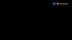 www.eurekalert.org