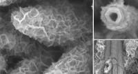Nanowires (3 of 3)