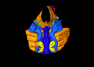 The 3D virtual reconstruction of Shuyu