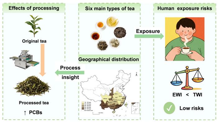 Profiling of polychlorinated biphenyls in Chinese tea: national distribution, variety-specific variations, and the impact of processing