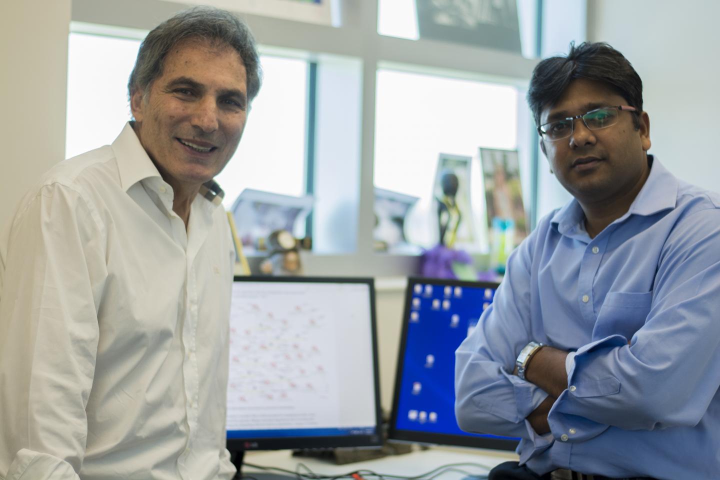Borko Furht and Ankur Agarwal, Florida Atlantic University