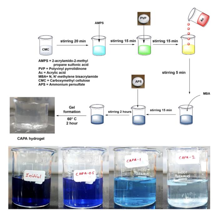 Development of and dye adsorption by CAPA hydrogel