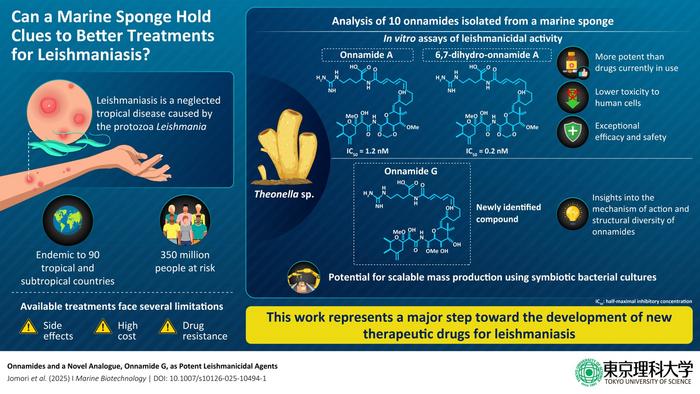 Onnamides—a new hope for treating leishmaniasis