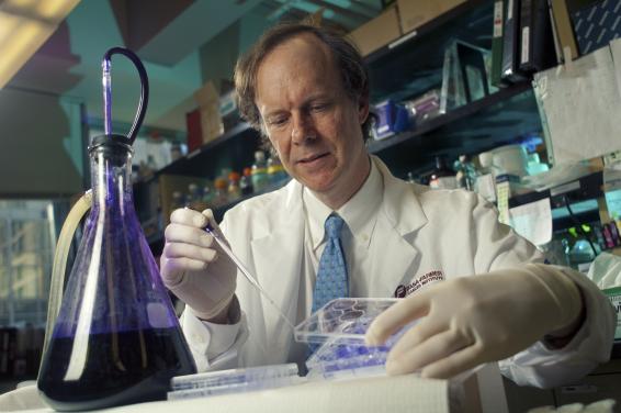 William G. Kaelin Jr., MD