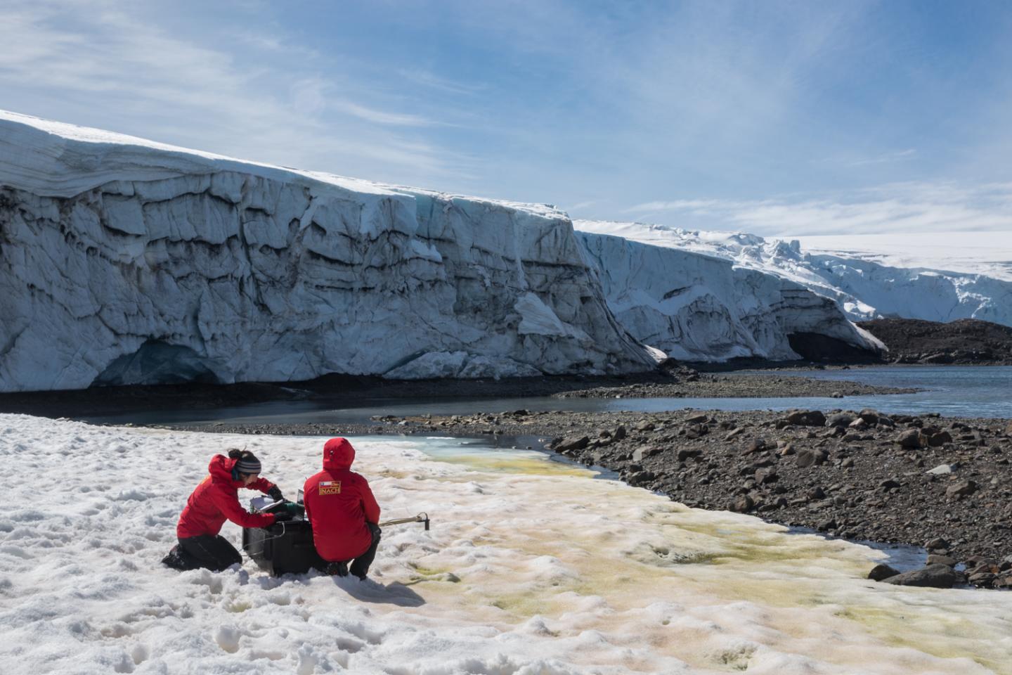 Collins Glacier on King George Island