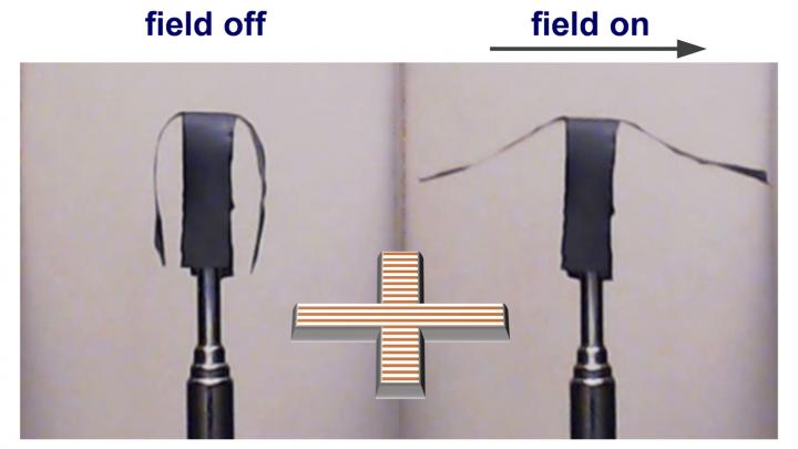 Magnetic, Nanoparticle Chains Control Soft Robots at a Distance