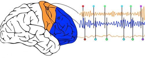Regions of the Prefrontal Cortex Sync up during Challenging Cognitive Tasks
