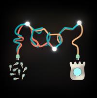 Illustration of a Host-Microbial Interaction
