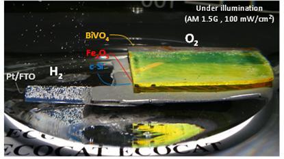 Hetero-Type Dual Photoelectrodes