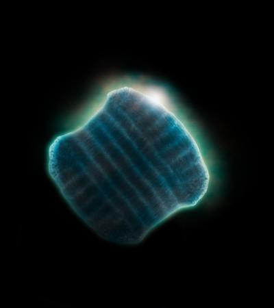 Self-Assembling Super-Crystals (3 of 5)