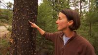 Dr. Susan Prichard, University of Washington (1 of 2)