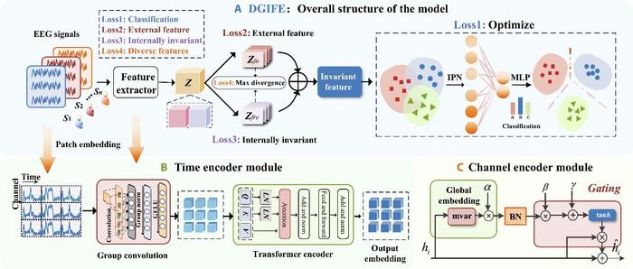 Model structure.