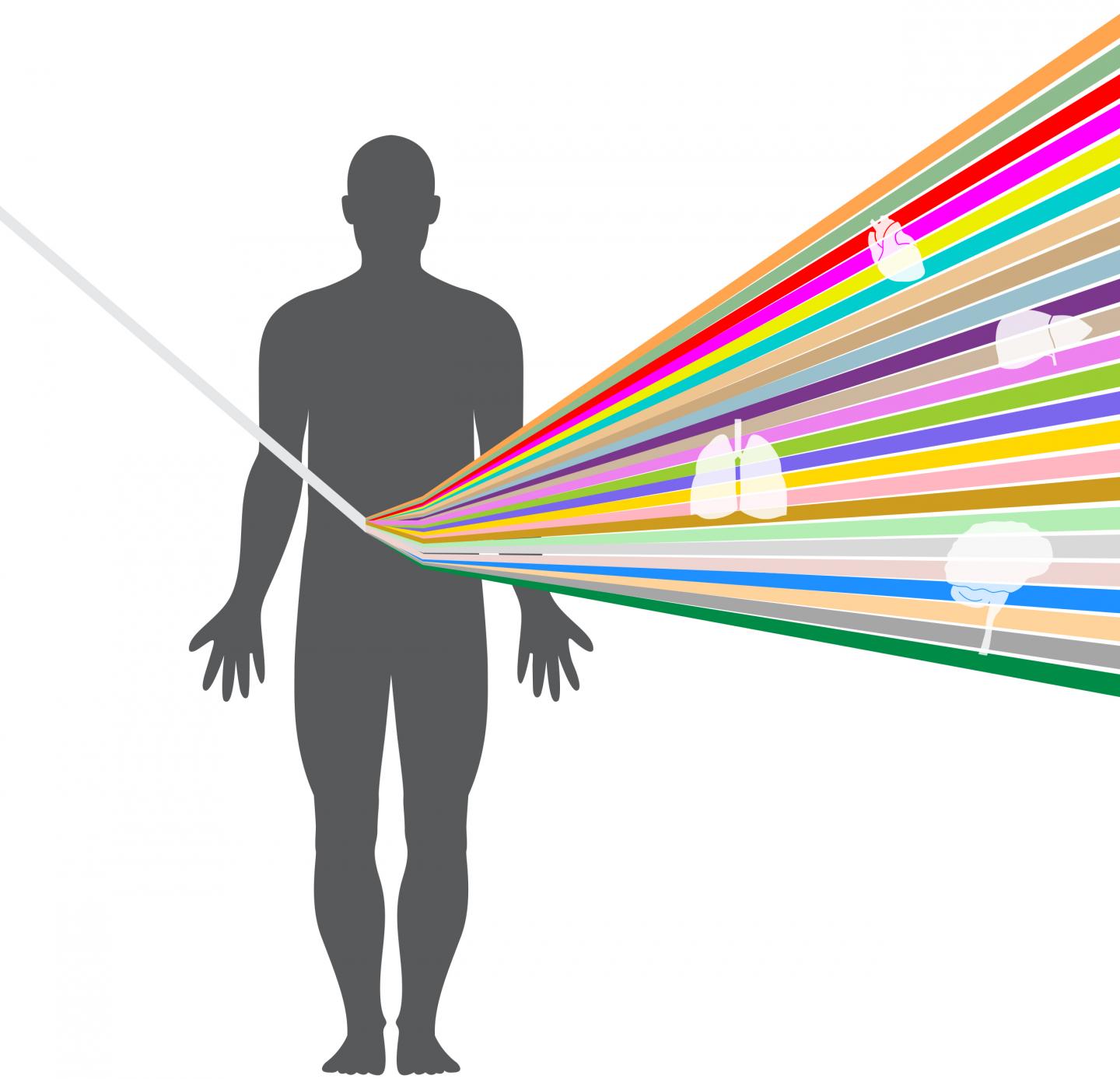GTEx: How Our Genetic Code Regulates Gene Expression (2 of 2)