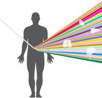 GTEx: How Our Genetic Code Regulates Gene Expression (2 of 2)